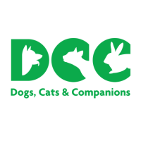 Best Vet Hospital In Greater Kailash: Dcc Animal Hospital